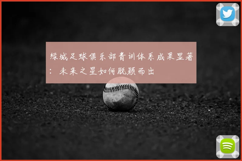 绿城足球俱乐部青训体系成果显著：未来之星如何脱颖而出