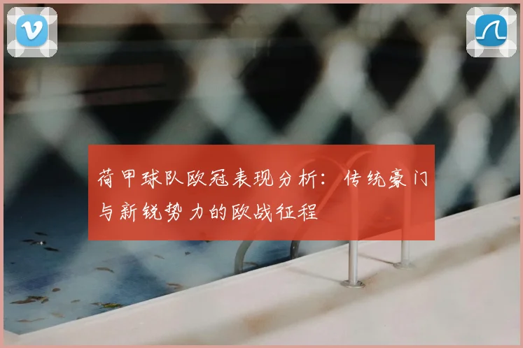 荷甲球队欧冠表现分析：传统豪门与新锐势力的欧战征程