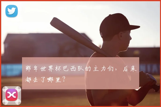 那年世界杯巴西队的主力们，后来都去了哪里？