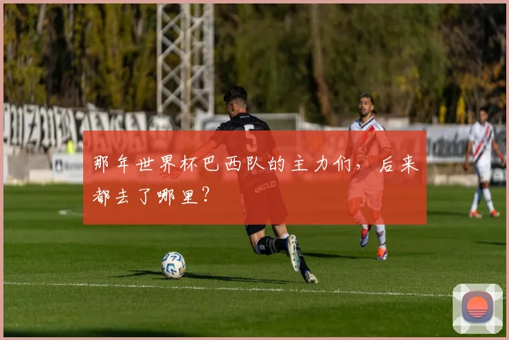 那年世界杯巴西队的主力们，后来都去了哪里？