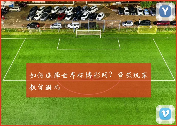 如何选择世界杯博彩网？资深玩家教你避坑