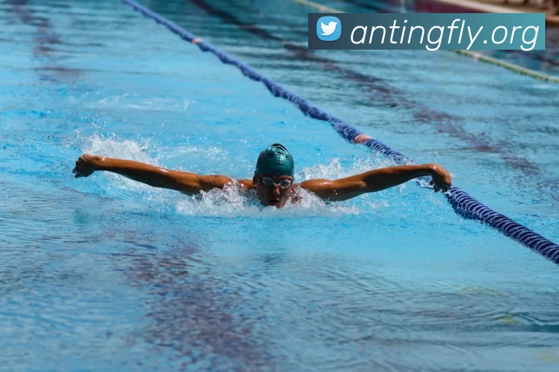 App Interface Preview